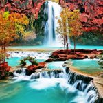 Báo cáo tình hình quản trị Công ty 6 tháng đầu năm 2025