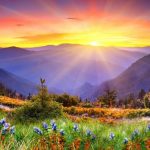 Thông báo về ngày đăng ký cuối cùng để thực hiện quyền cho người sở hữu chứng khoán