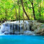 Công bố thông tin bổ nhiệm Kế toán trưởng