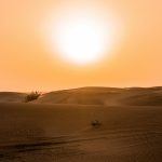 Tài liệu Đại hội đồng cổ đông thường niên năm 2026