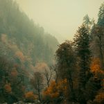 Danh sách đề cử bầu Thành viên Hội đồng quản trị và Thành viên Ban kiểm soát Công ty CP TTTH Đường sắt Sài Gòn