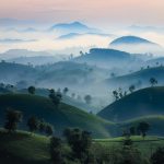 Công bố thông tin thành viên Hội đồng quản trị và Ban kiểm soát Công ty nhiệm kỳ 2026-2031