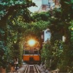 Thông báo về ngày đăng ký cuối cùng để thực hiện quyền chi trả cổ tức bằng tiền năm 2025